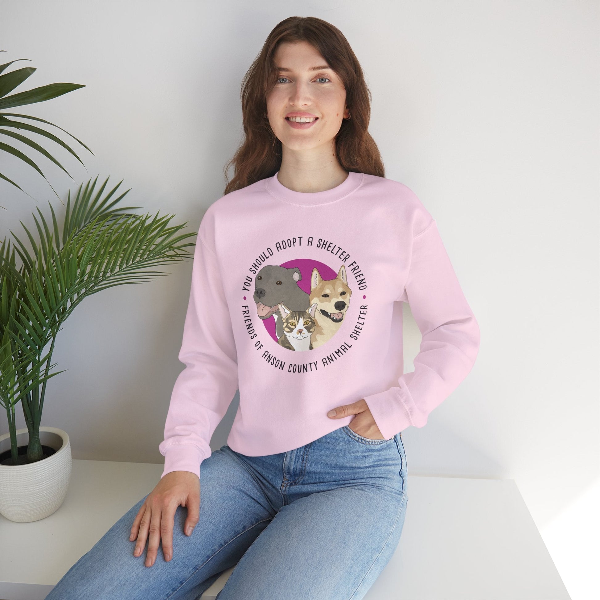 Crewneck Sweatshirt | FUNDRAISER | Friends of Anson County Animal Shelter - Detezi Designs - 12332554294567994289