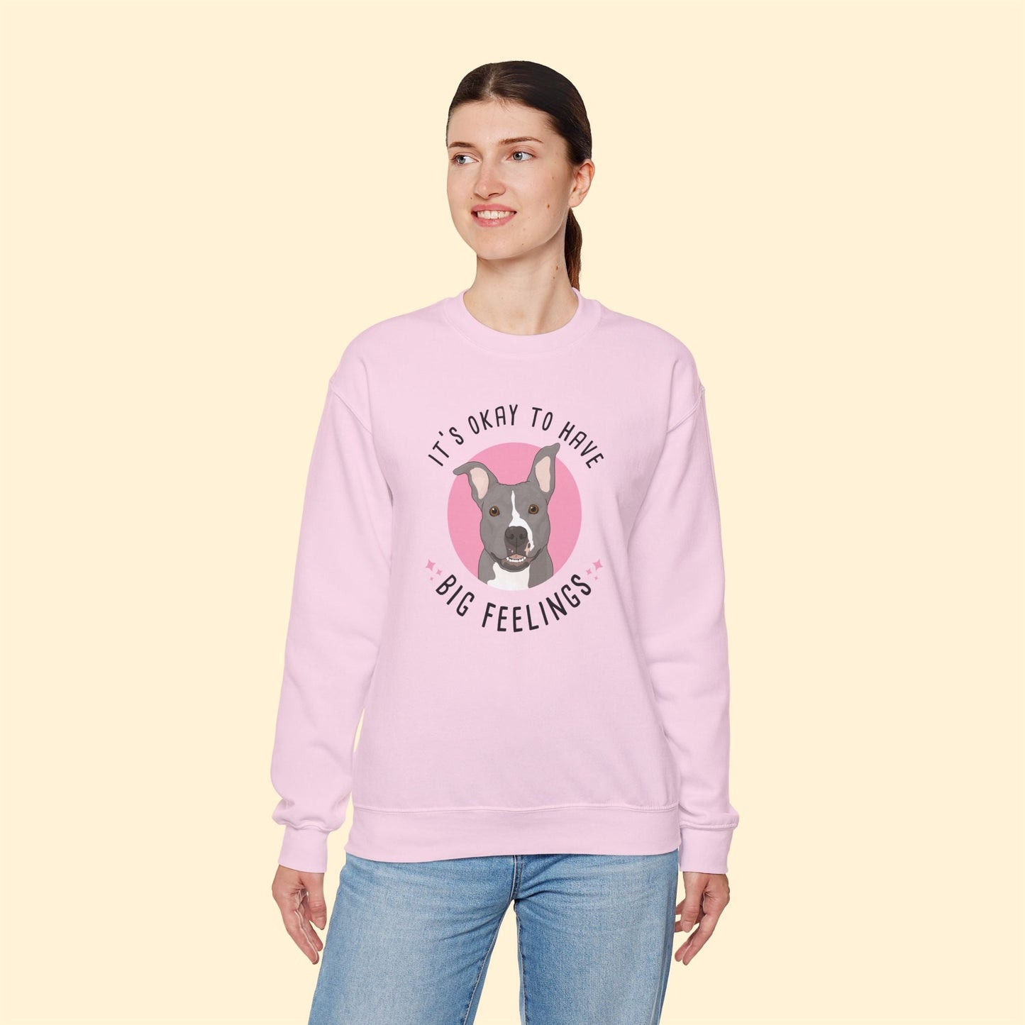 Crewneck Sweatshirt | FUNDRAISER | Friends of City Dogs Cleveland - Detezi Designs-28433153204373226426