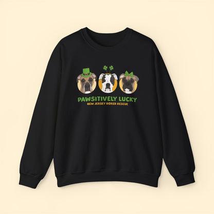 Crewneck Sweatshirt | FUNDRAISER | New Jersey Boxer Rescue | St. Patrick's Day - Detezi Designs - 30471626025142833226