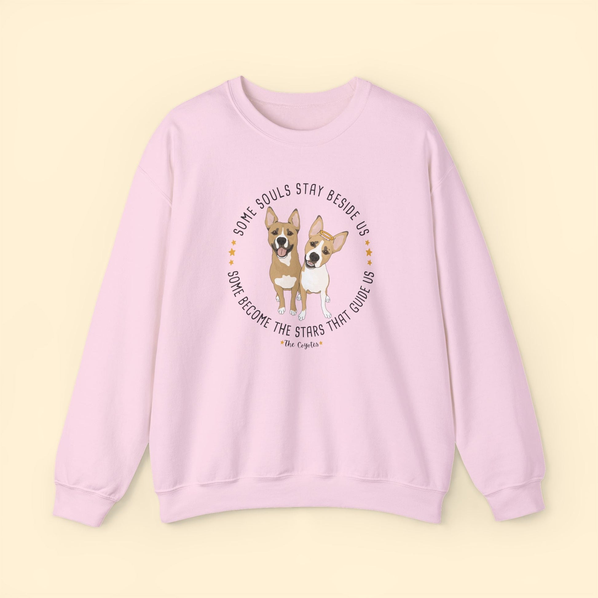 Crewneck Sweatshirt | FUNDRAISER | The KG Foundation | Nutty & Barney - Detezi Designs-99398042358064123687