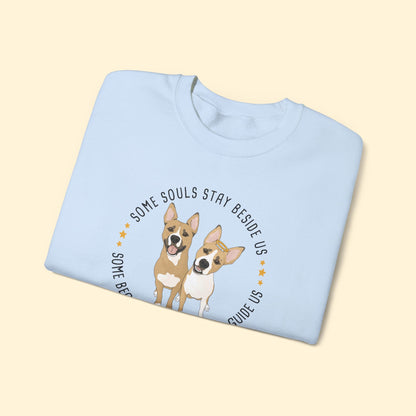 Crewneck Sweatshirt | FUNDRAISER | The KG Foundation | Nutty & Barney - Detezi Designs-99398042358064123687