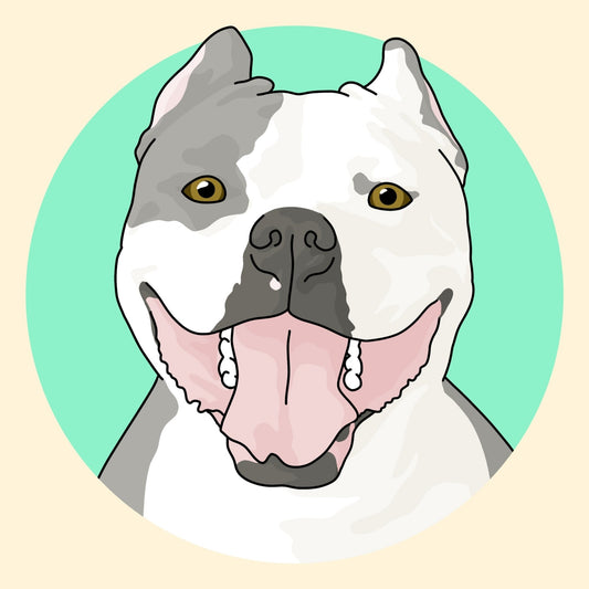 Custom Pet Portrait - Detezi Designs - CPP001