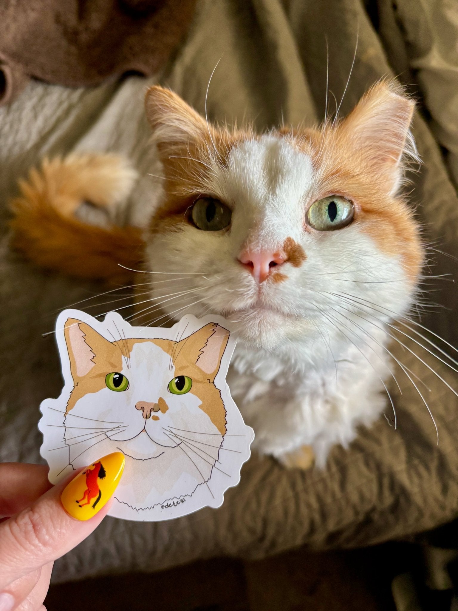 Custom Stickers | Illustrated Pet Portraits - Detezi Designs - 