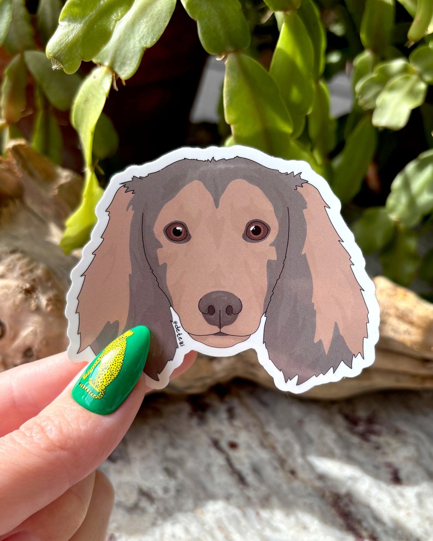Dachshund | Long Hair | Face | 3" Vinyl Sticker - Detezi Designs - 