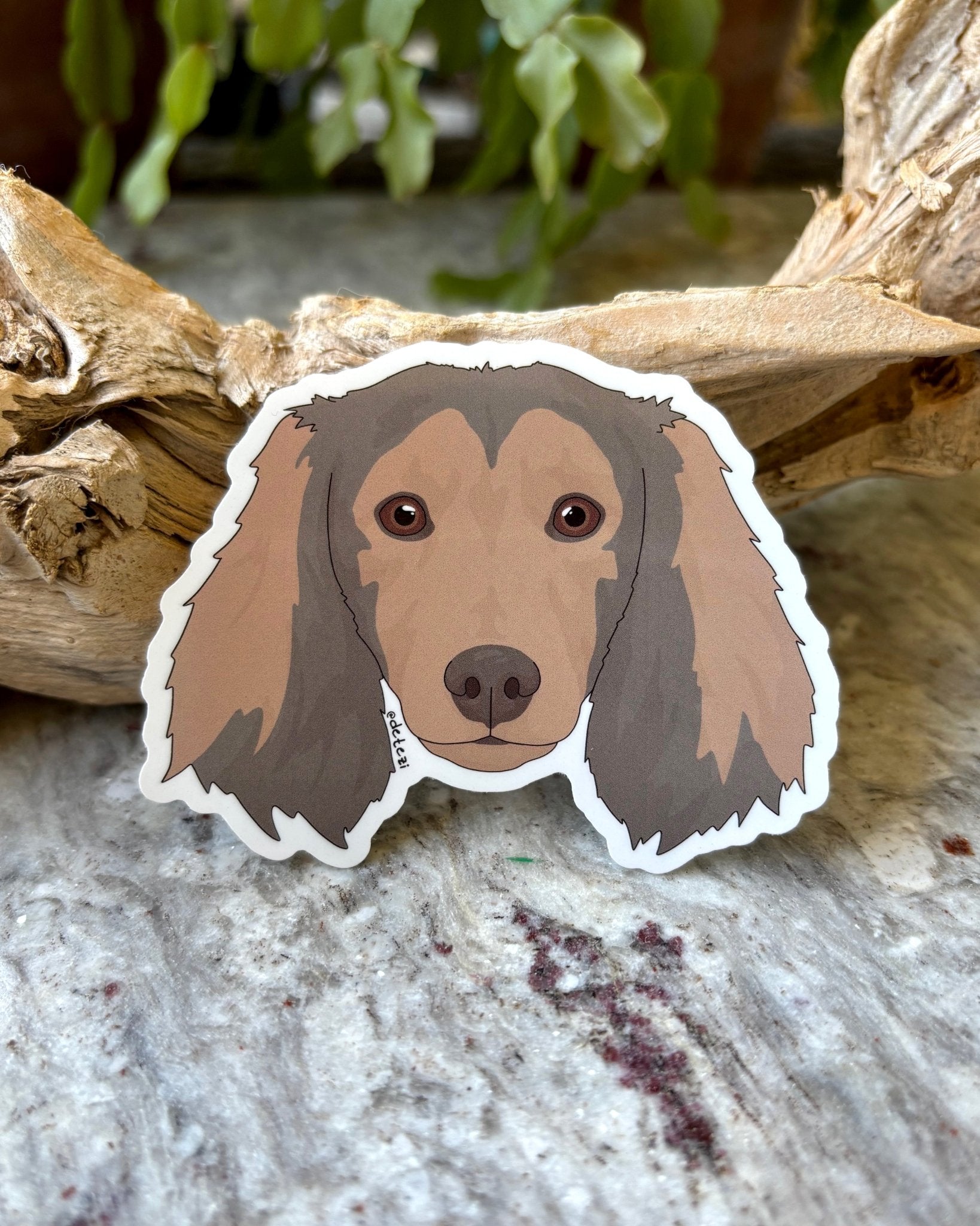 Dachshund | Long Hair | Face | 3" Vinyl Sticker - Detezi Designs - 