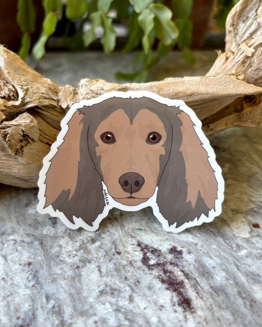 Dachshund | Long Hair | Face | 3" Vinyl Sticker - Detezi Designs - 