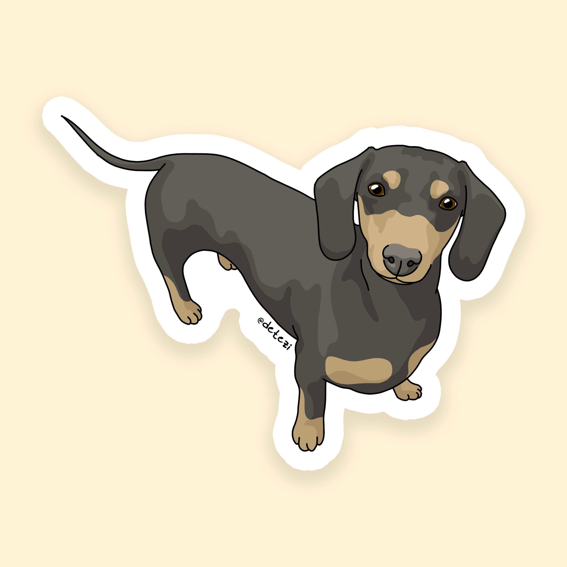 Dachshund | Short Hair | 3" Vinyl Sticker - Detezi Designs - 