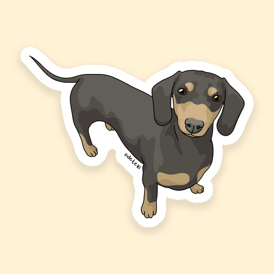 Dachshund | Short Hair | 3" Vinyl Sticker - Detezi Designs - 