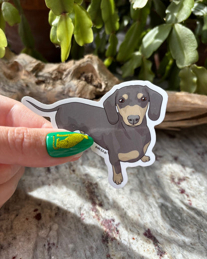 Dachshund | Short Hair | 3" Vinyl Sticker - Detezi Designs - 