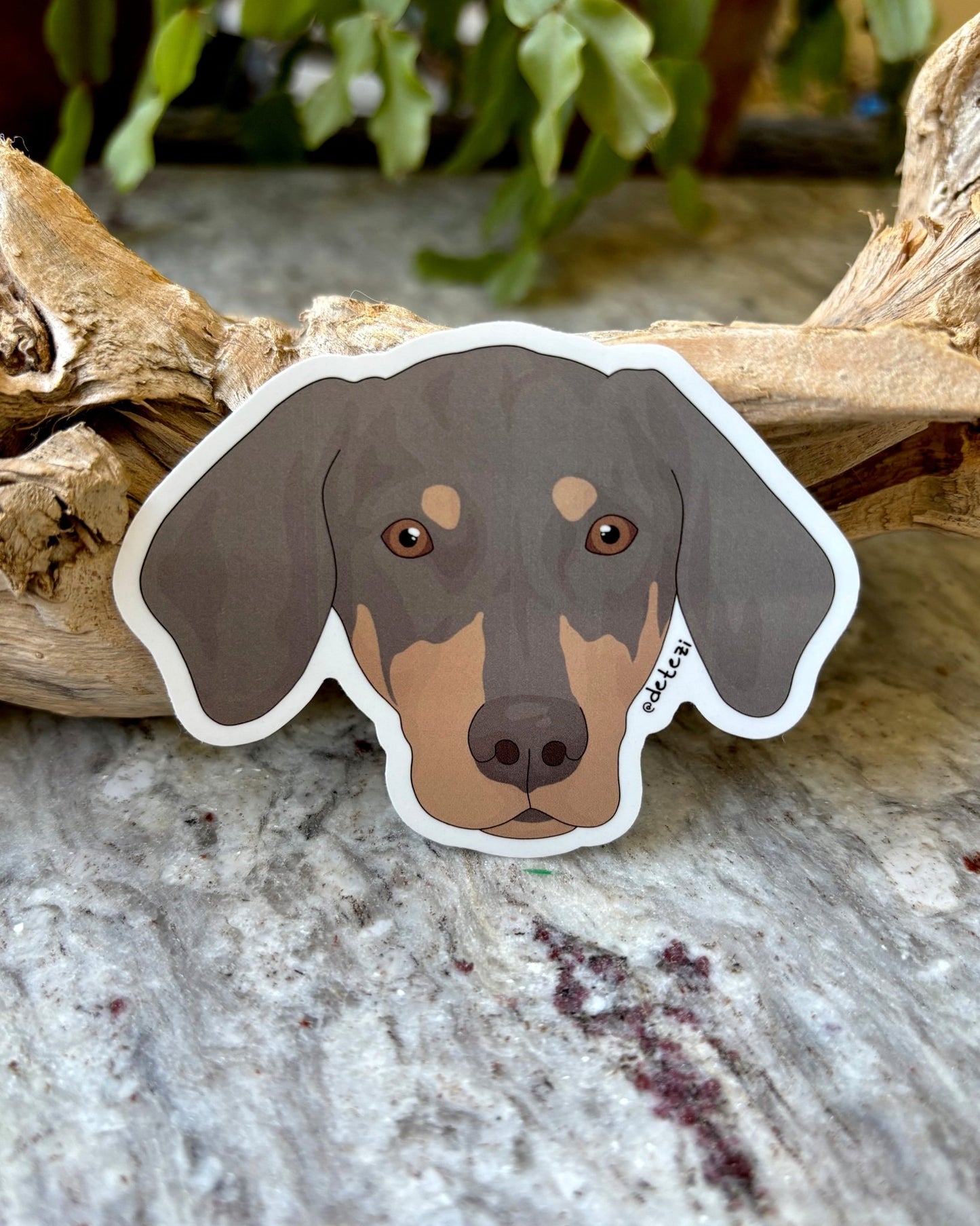 Doberman | 3" Vinyl Sticker - Detezi Designs - 