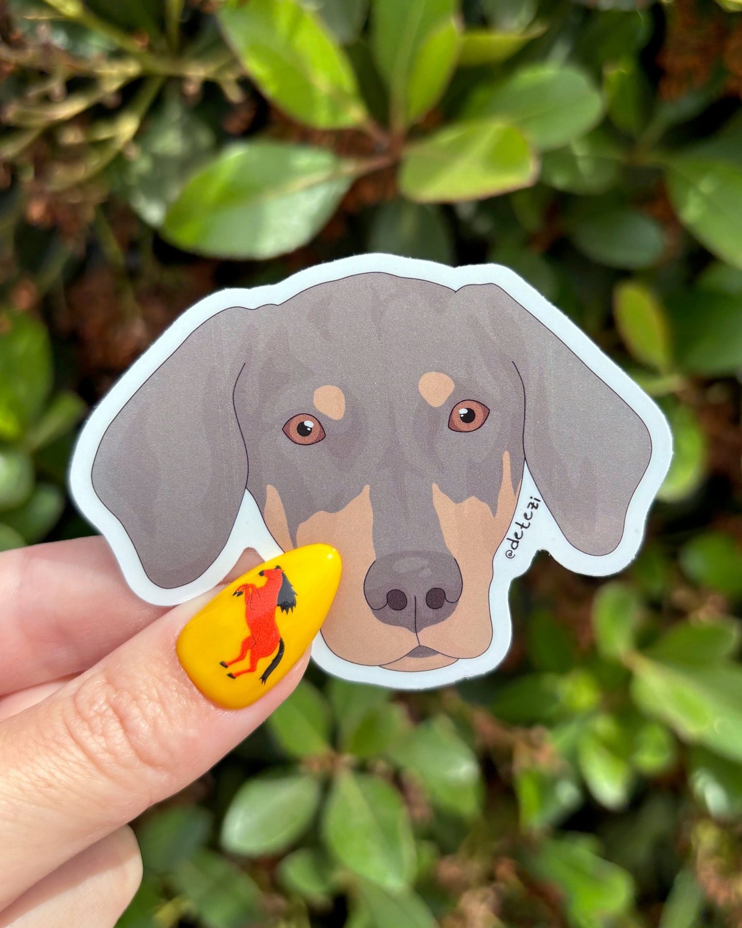 Doberman | Vinyl Sticker - Detezi Designs - 