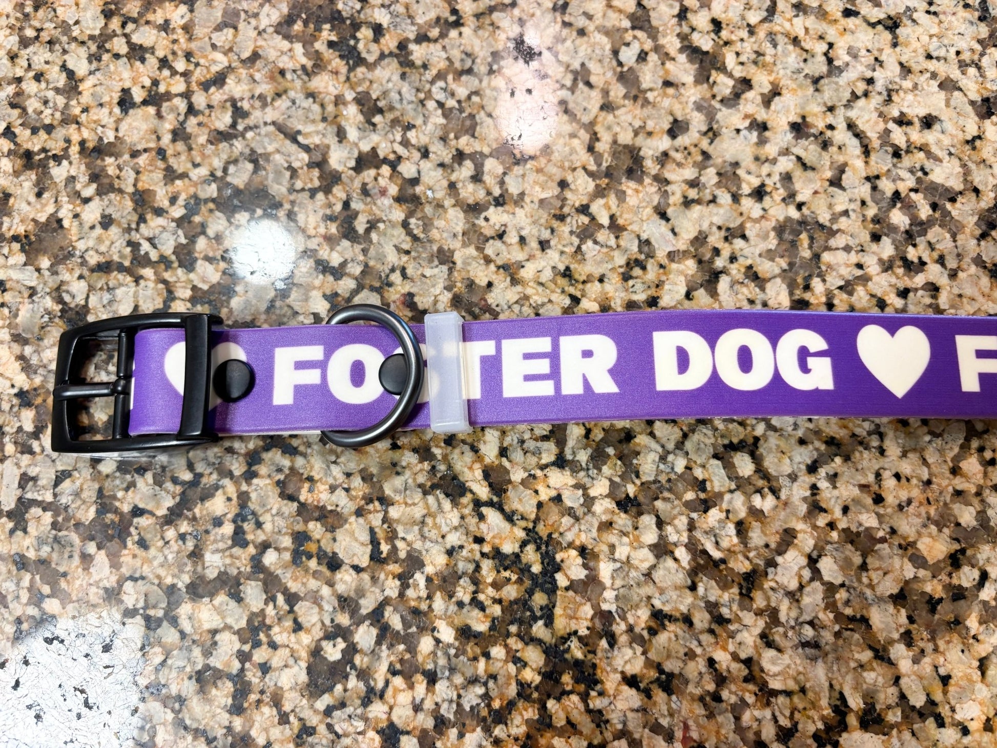 Dog Collar | Foster Dog - Detezi Designs-