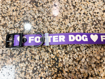 Dog Collar | Foster Dog - Detezi Designs-