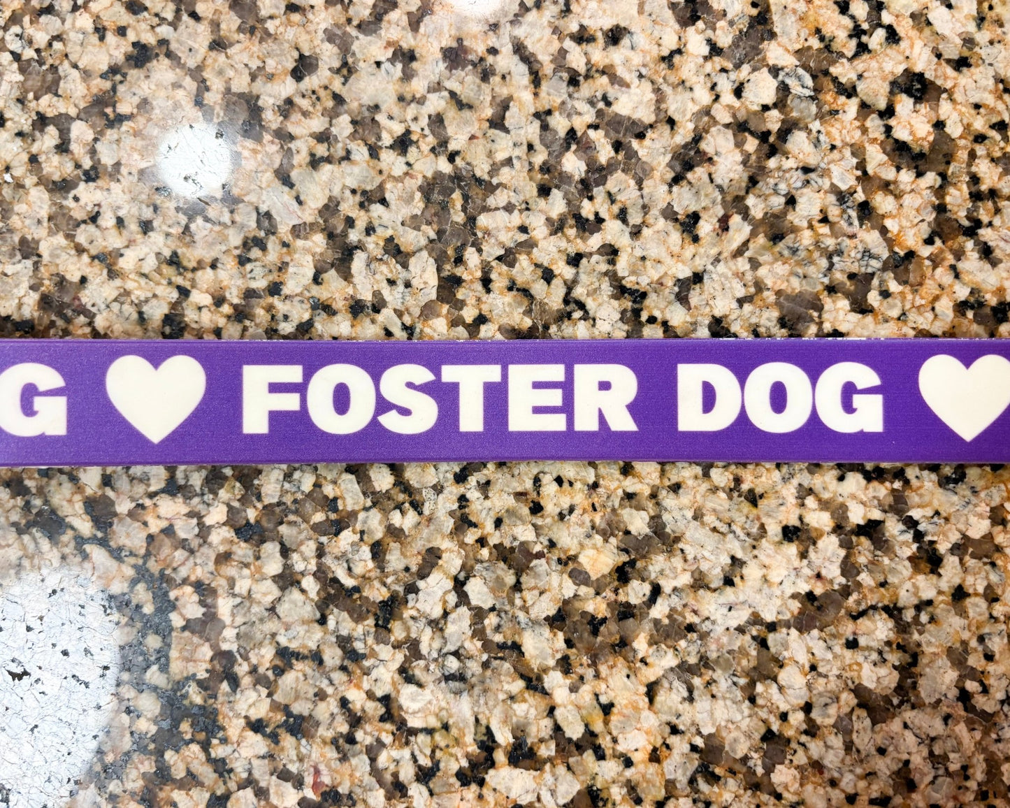 Dog Collar | Foster Dog - Detezi Designs-