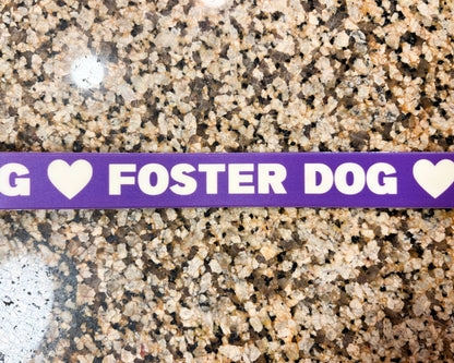 Dog Collar | Foster Dog - Detezi Designs-
