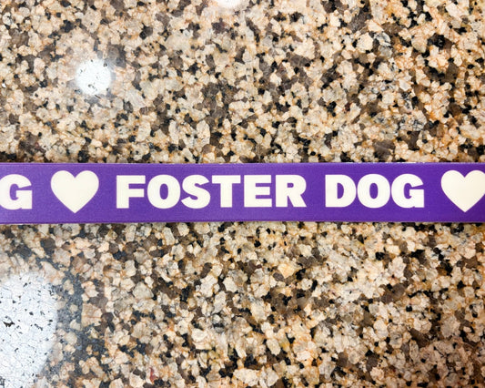 Dog Collar | Foster Dog - Detezi Designs-