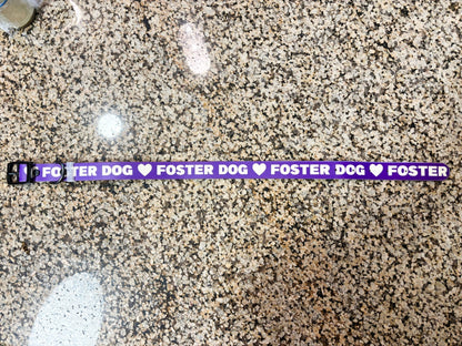 Dog Collar | Foster Dog - Detezi Designs-