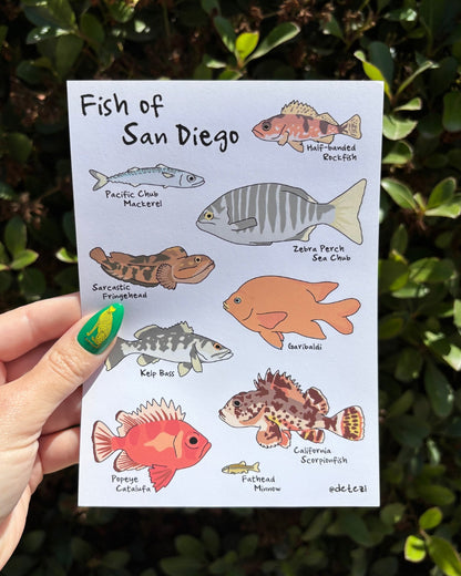 Fish of San Diego | Giclée Fine Art Print - Detezi Designs - 
