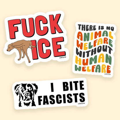 Fuck Fascism | Sticker Pack - Detezi Designs - 
