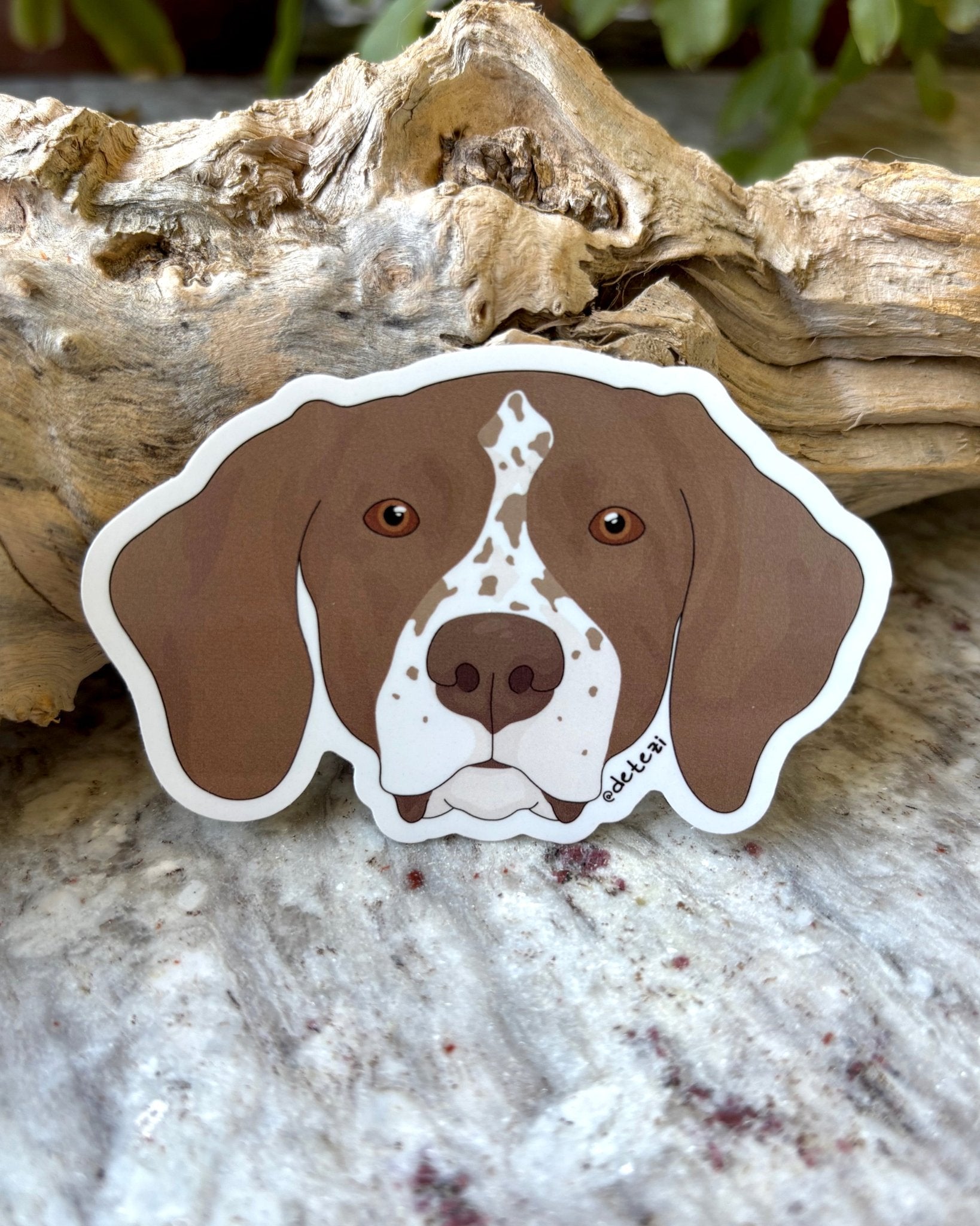 German Shorthaired Pointer | Face | 3" Vinyl Sticker - Detezi Designs - 