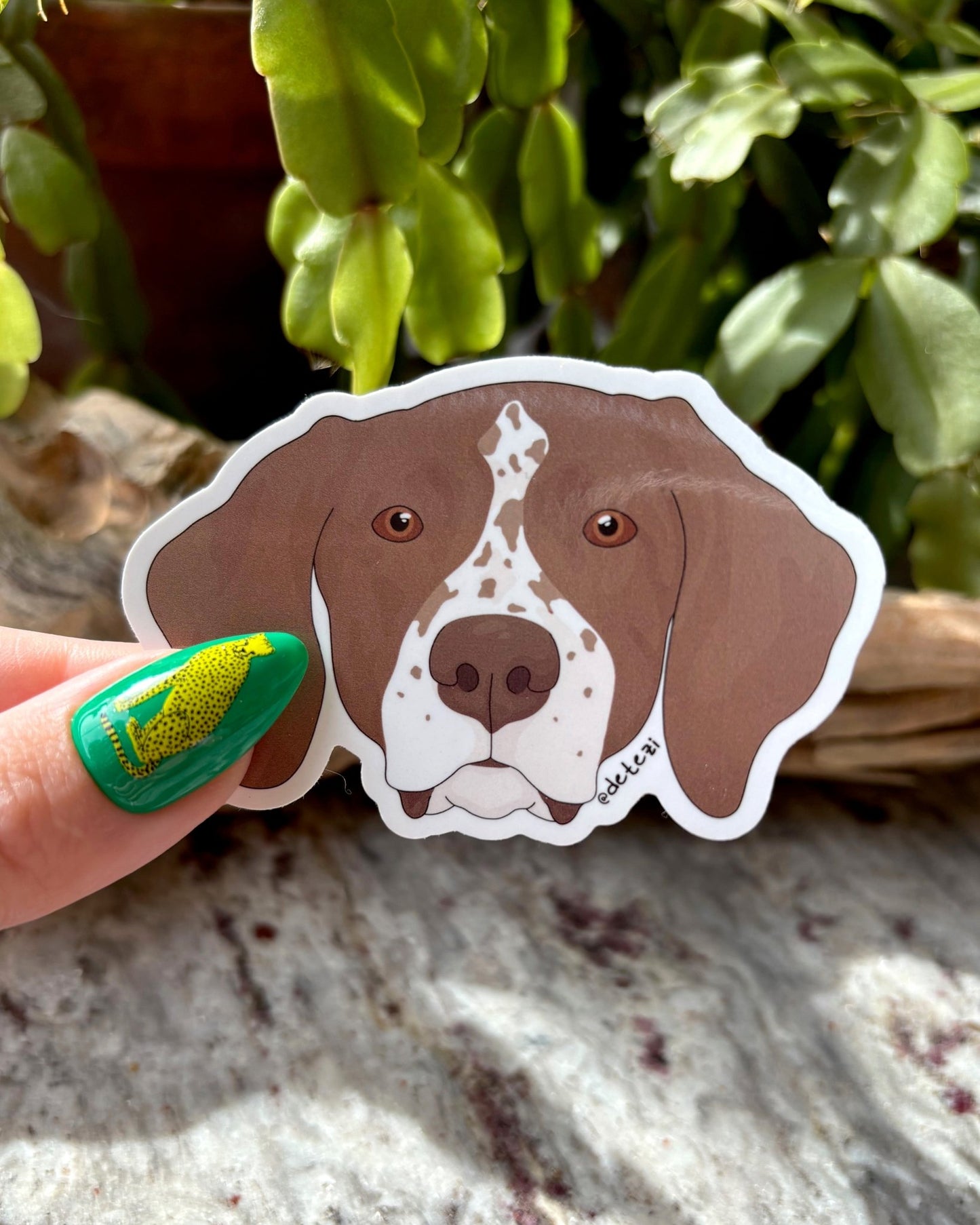 German Shorthaired Pointer | Face | 3" Vinyl Sticker - Detezi Designs - 