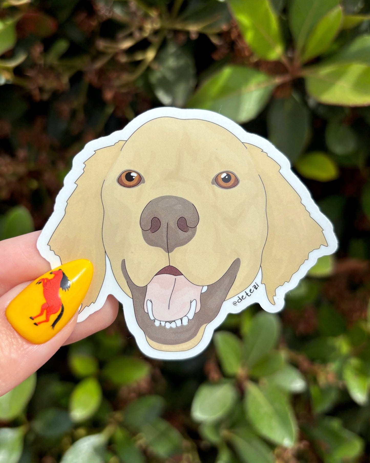 Golden Retriever | Face | Vinyl Sticker - Detezi Designs - 