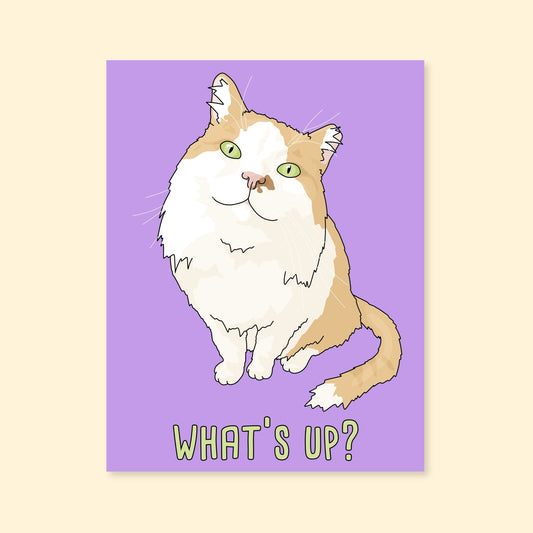 Greeting Card | What's Up Cat - Detezi Designs-