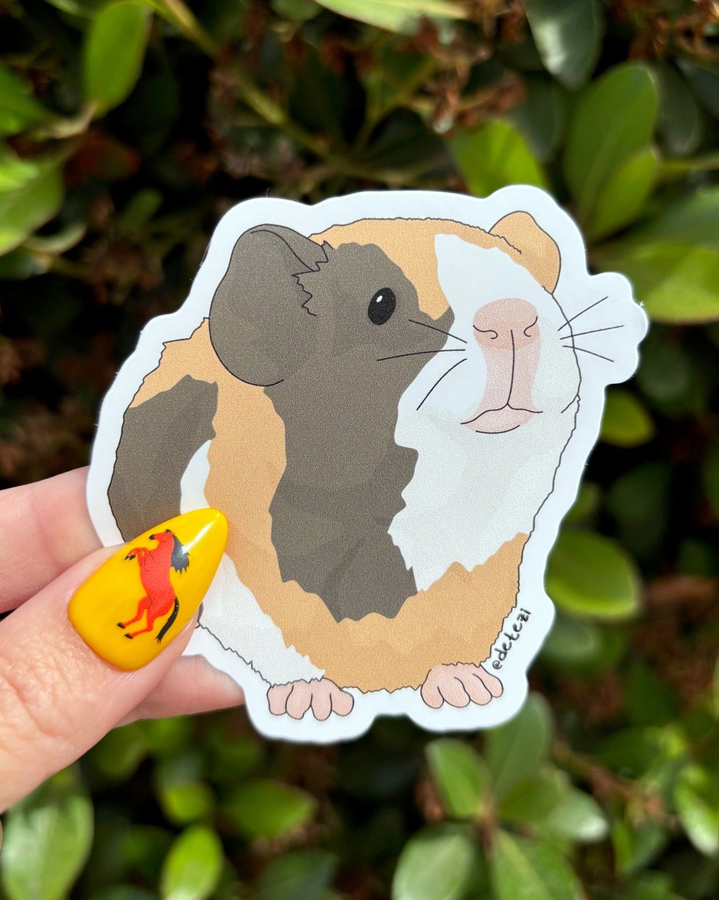 Guinea Pig | Vinyl Sticker - Detezi Designs - 