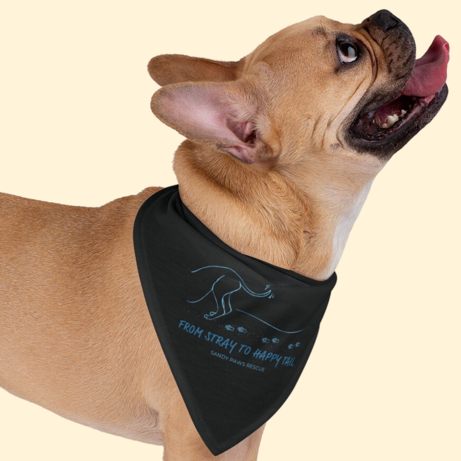 Happy Tail | FUNDRAISER for Sandy Paws Rescue | Pet Bandana - Detezi Designs - 66132726635727806362