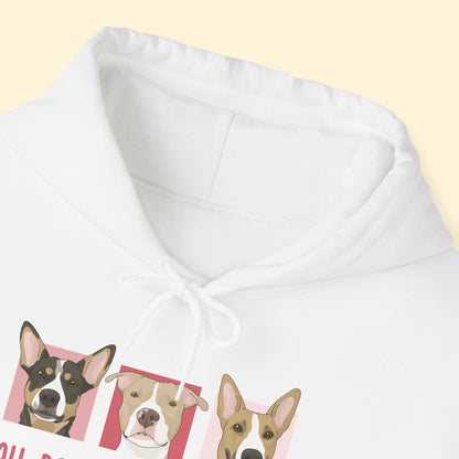 Hooded Sweatshirt | FUNDRAISER | Ace's Place All Dog Rescue - Detezi Designs-30304144312031140903