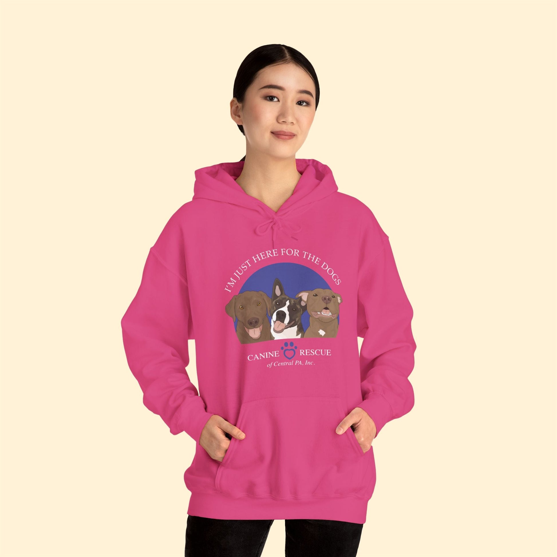Hooded Sweatshirt | FUNDRAISER | Canine Rescue of Central PA - Detezi Designs - 24052541979119435489