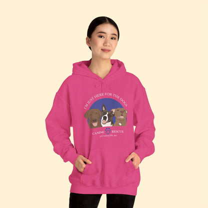 Hooded Sweatshirt | FUNDRAISER | Canine Rescue of Central PA - Detezi Designs - 24052541979119435489