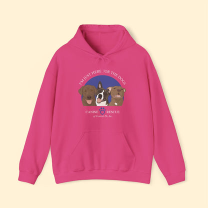 Hooded Sweatshirt | FUNDRAISER | Canine Rescue of Central PA - Detezi Designs - 24052541979119435489