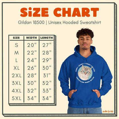 Hooded Sweatshirt | FUNDRAISER | Chicagoland Animal Rescue - Detezi Designs - 15069580551570801104