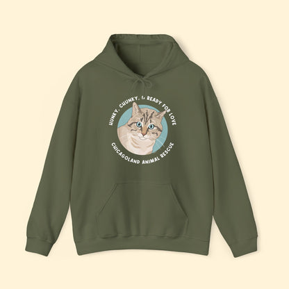 Hooded Sweatshirt | FUNDRAISER | Chicagoland Animal Rescue - Detezi Designs - 16814822439762648380