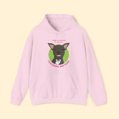 Hooded Sweatshirt | FUNDRAISER | Dewey | Maybel's Legacy - Detezi Designs - 31163547142562868094