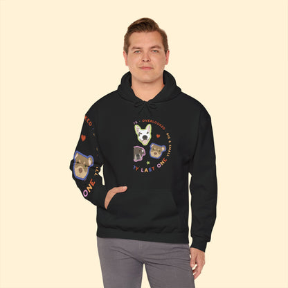 Hooded Sweatshirt | FUNDRAISER | Every Last One - Detezi Designs - 17312336127803519329