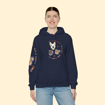 Hooded Sweatshirt | FUNDRAISER | Every Last One - Detezi Designs - 17312336127803519329