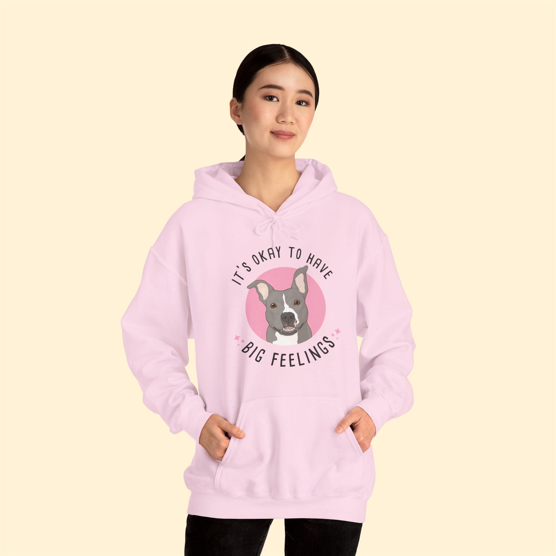 Hooded Sweatshirt | FUNDRAISER | Friends of City Dogs Cleveland - Detezi Designs-15991841019730479706
