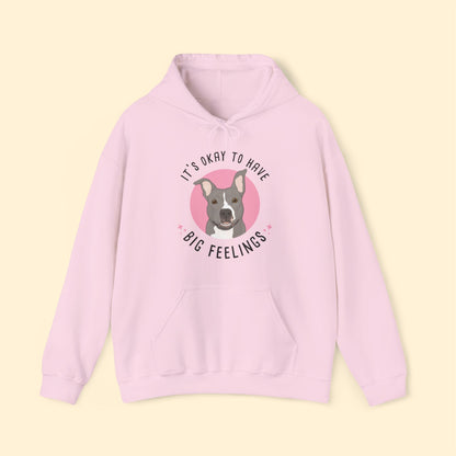 Hooded Sweatshirt | FUNDRAISER | Friends of City Dogs Cleveland - Detezi Designs-17429345504337589750