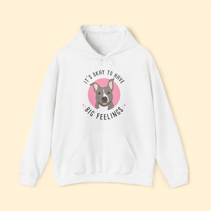 Hooded Sweatshirt | FUNDRAISER | Friends of City Dogs Cleveland - Detezi Designs-17833814371866628672