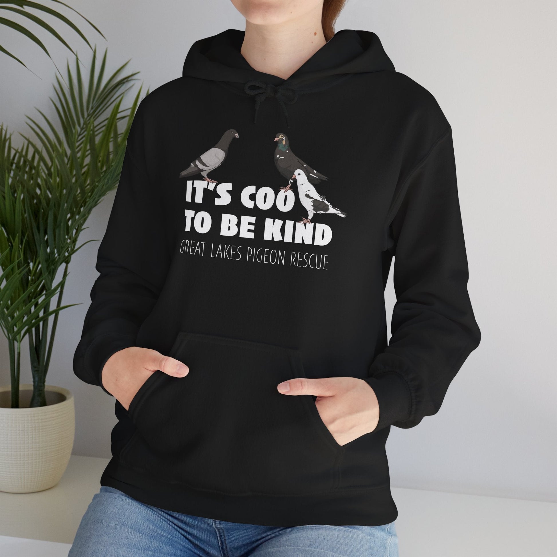 Hooded Sweatshirt | FUNDRAISER | Great Lakes Pigeon Rescue - Detezi Designs - 88594728911395158020