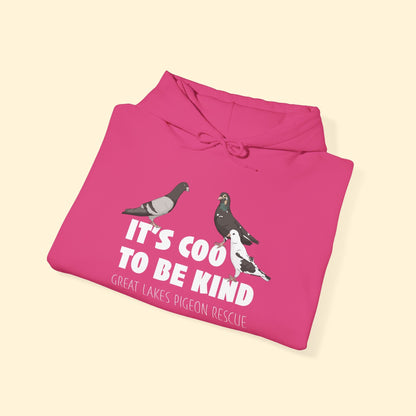 Hooded Sweatshirt | FUNDRAISER | Great Lakes Pigeon Rescue - Detezi Designs - 98868104493717889247