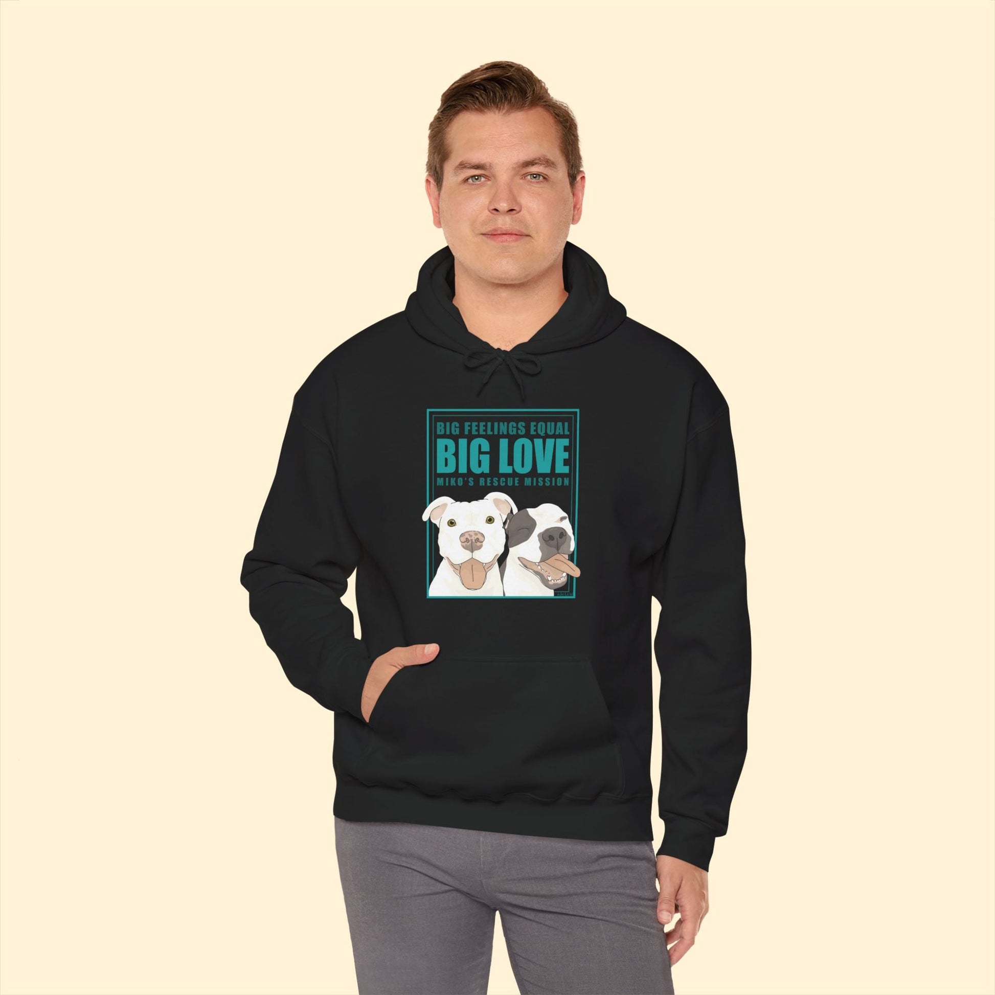 Hooded Sweatshirt | FUNDRAISER | Miko's Rescue Mission - Detezi Designs - 96539375759200820637