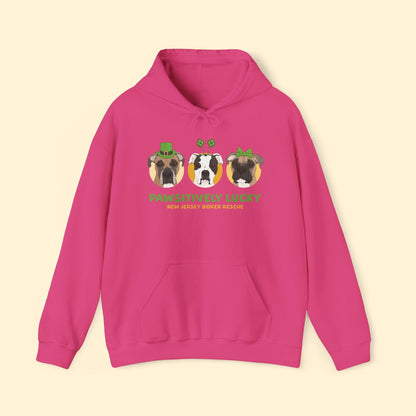 Hooded Sweatshirt | FUNDRAISER | New Jersey Boxer Rescue | St. Patrick's Day - Detezi Designs - 21116515372829013272