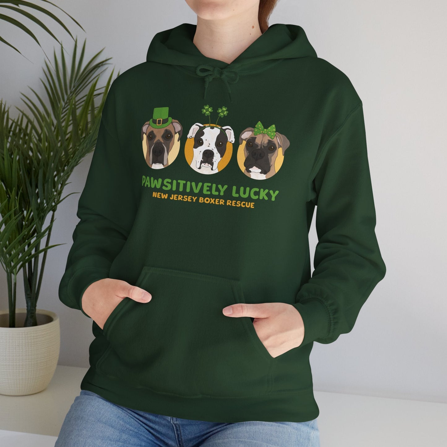 Hooded Sweatshirt | FUNDRAISER | New Jersey Boxer Rescue | St. Patrick's Day - Detezi Designs - 31130062078336942259