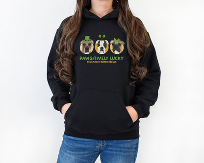 Hooded Sweatshirt | FUNDRAISER | New Jersey Boxer Rescue | St. Patrick's Day - Detezi Designs - 46540745378357546905