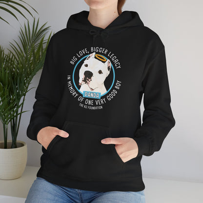 Hooded Sweatshirt | FUNDRAISER | The KG Foundation | In Memory of Panda - Detezi Designs - 29346393724770059514