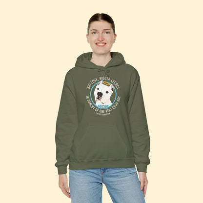 Hooded Sweatshirt | FUNDRAISER | The KG Foundation | In Memory of Panda - Detezi Designs - 98208376076526468895