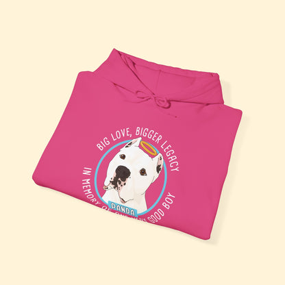 Hooded Sweatshirt | FUNDRAISER | The KG Foundation | In Memory of Panda - Detezi Designs - 98208376076526468895